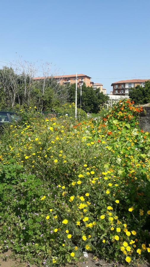 Carrubo - Giardino In Citta Villa Catania Exterior photo